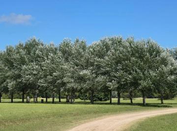 Terreno · 1651m² · Venta Lote Estancia Viilla Maria Canning