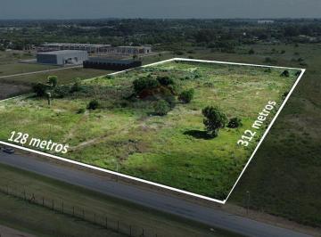 Terreno · 40000m² · Venta Lote Terreno 4ha Camino de Los Aromos