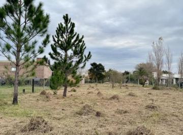 Terreno · 1009m² · Terreno en Venta en Rincon