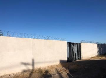 Terreno , Centenario · Alquiler Terreno Cerrado Para Base Industrial