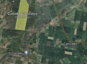 Campo · 5000000m² · Campo en Carrizales