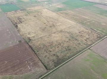 Campo · Campo en Villa Eloisa