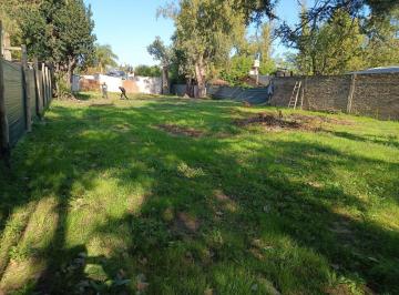 REP-REP-473_2 · Lote. | Guiraldes, Ricardo