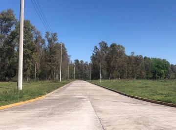 Terreno · 37000m² · Terreno en Parque Industrial en Moreno