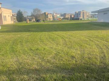Terreno · 800m² · Terreno en Venta - 800 m² - Cañuelas