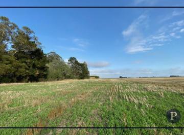Campo · 2147483647m² · Campo 51has Papero Excelente Ubicacion