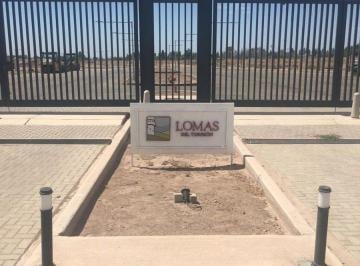 Terreno · 481m² · Lote, Venta, Lomas del Torreon