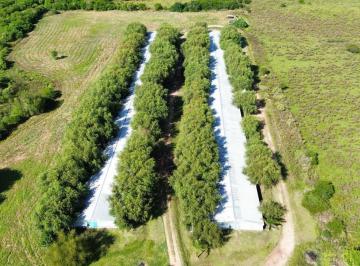 Campo · 50000m² · 2 Dormitorios · 1 Cochera · Vendo Granja Avicola en Concepción del Uruguay, Entre Ríos.