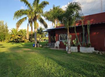 Campo · 270ha · Campo en Venta 33 Ha San Andrés de Giles