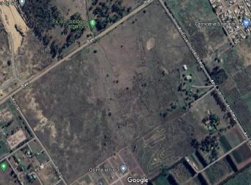 Campo · 42ha · Venta de Campo en Alte. Brown (Florencio Varela)
