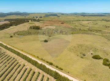 Campo · 5ha · Chacra en Venta Entre R 39 y 12 - Oportunidad!