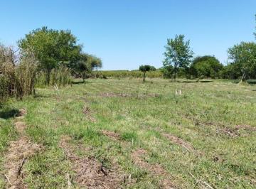 Campo · 70ha · Chacra a La Venta en Los Cerrillos 4 Hectáreas