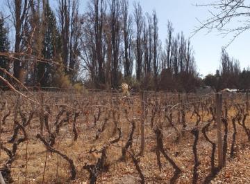 Campo · 225m² · 5 Dormitorios · 1 Cochera · Finca - Perdriel