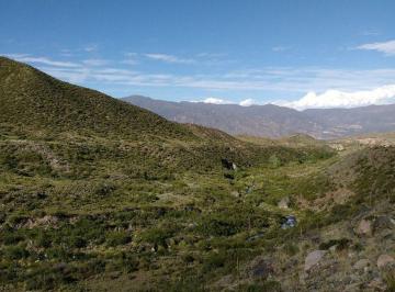 Terreno · 2000m² · Lote en Venta Potrerillos Mendoza