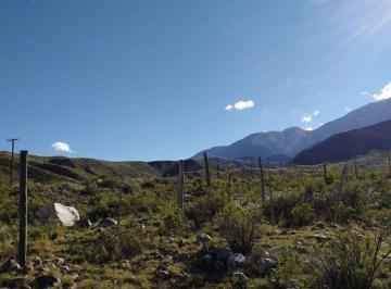 Terreno · 2000m² · Excelente Terreno en Potrerillos Sobre Ruta 82
