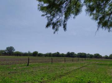 Campo de 8 ambientes, Cruz del Eje · Campo de 22hs. en Cruz del Eje - Media Naranja, Córdoba, con Riego, Perforación, Casa y Muchas Mejor