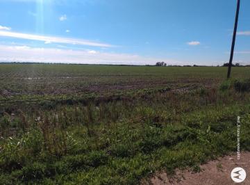 Campo , Santa María · Venta Campo Productivo 45 Hectáreas Santa Maria