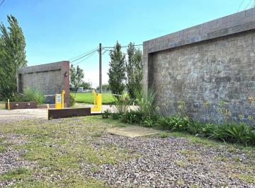 Terreno · 250m² · Lote en Venta en Barrio Estilo Campo Canning