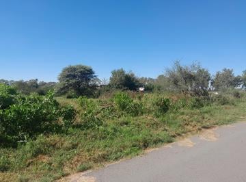 Terreno , Los Cisnes · Lote - Terreno - Bº Las Quintas - Los Cedros - 31°32'16'1 64°18'23'2