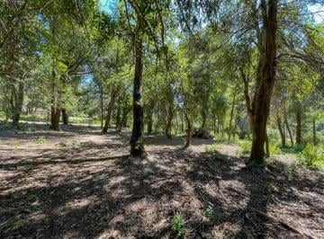 Terreno · 324m² · Venta Lote Villa La Angostura