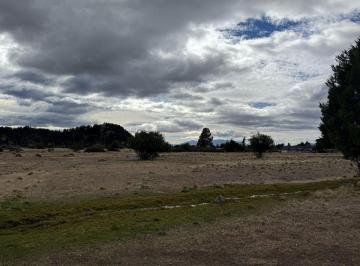Campo · 14ha · 13,86 Ha en Los Cipreses