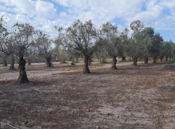 VISTA ESTE · Terreno Buena Nueva Guaymallen en Venta