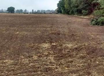 Terreno · 77400m² · Las Paredes