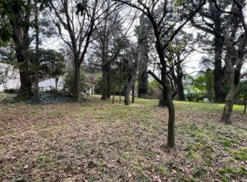 Terreno · 4000m² · Venta 4 Lotes en Esquina y Casa a Reciclar 4000 m