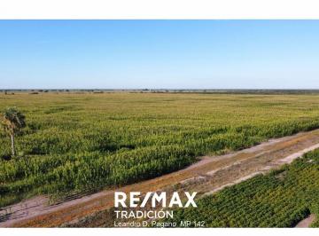 Campo · 244ha · Campo en Venta - 244ha Cabeza de Tigre, Sta Sylvina