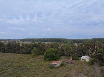 Campo · 60ha · Chacra en Venta - Los Cerrillos / Parador Tajes