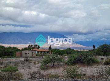 Campo de 4 ambientes, San Carlos · Finca de 3,5 Ha en San Carlos, Valles Calchaquíes, Salta