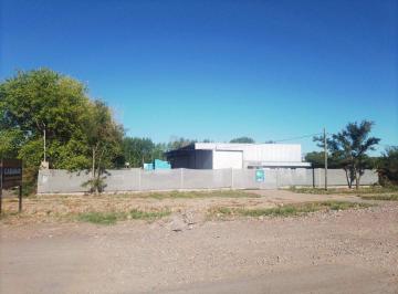 Bodega-Galpón · 500m² · Galpón en Venta en Luján de Cuyo