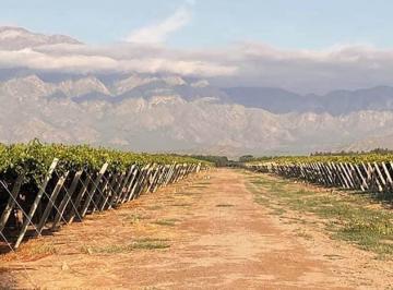 Fondo de comercio , Anillaco · Venta Completa de Bodega y Equipamiento – Usd 125.000