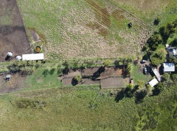 Campo · 450000m² · 3 Ambientes · Chacra en Venta en Madariaga