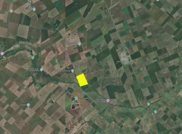 Campo · 840000m² · En Venta - Campo 84 Has Bogado - La Vanguardia