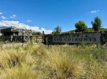 Terreno · 10000m² · Venta de Lote en La Carrera, Tupungato. Estancia Los Coirones.
