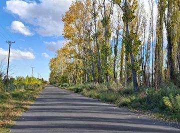 Campo · 160m² · Finca de 8 Has, con Casa y Galpón, a 18 Minutos de San Rafael!