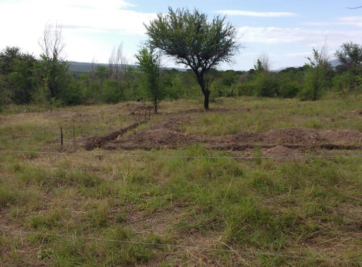 Terreno · 1000m²