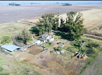 Campo · 460000m² · Campo en Estacion Diaz