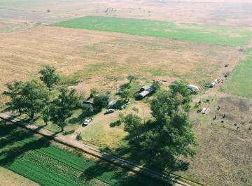 Campo · 660000m² · Campo en Estacion Diaz