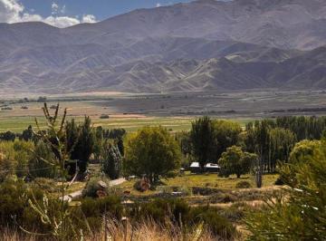 Terreno · 7015m² · Lote en Venta Sobre Ruta 89 La Carrera, Tupungato. Escritura y Posesión Inmediata.