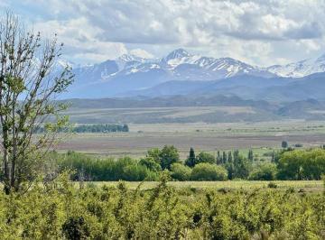 Terreno , Tupungato · Lote en Venta Sobre Ruta 89 La Carrera, Tupungato. Escritura y Posesión Inmediata.