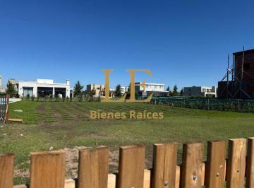 Terreno · 800m² · Lote a La Venta en El Naudir