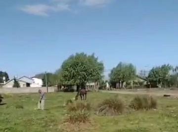 Terreno · 7324m² · Vente o Permuta Lote de 7,324 m²