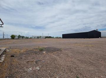 Terreno , Añelo · Lote de Amplias Dimensiones en Añelo, Neuquén