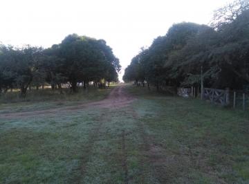 Terreno · 460m² · Terreno en Venta en Santa Rosa de Calamuchita