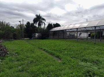 Terreno · 1750m² · Alquiler Gran Lote Vacio 1750 m² San Miguel