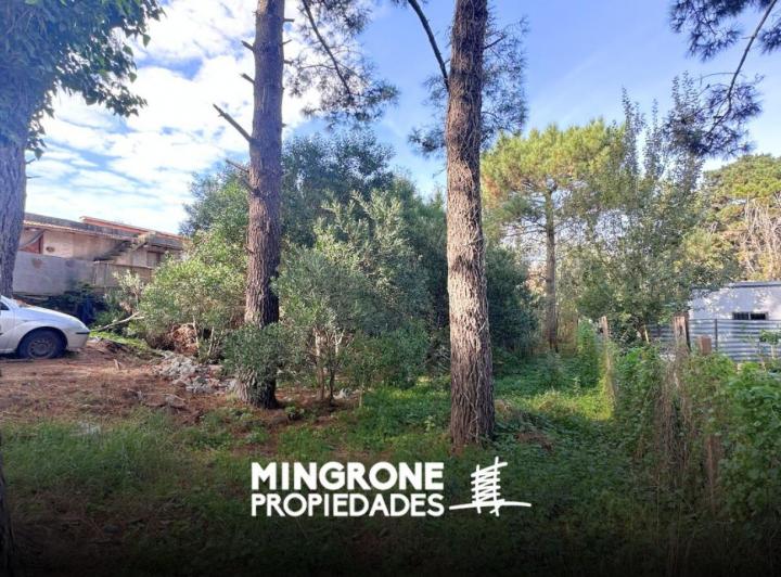 Terreno · 518m²