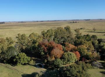 Campo · 1100000ha · 8 Ambientes · 2 Cocheras · Oportunidad! Campo en Mercedes a 5 Km de La Ruta 41!