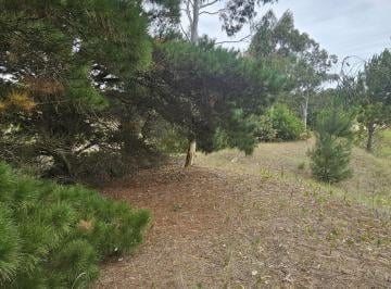 Terreno · 882m² · Venta Lote Costa Esmeralda Barrio Ecuestre